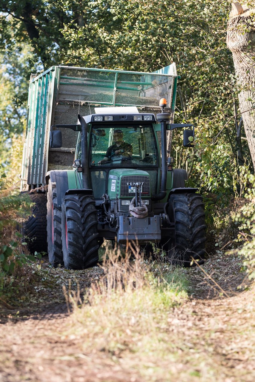 Bild 125 - Maisernte